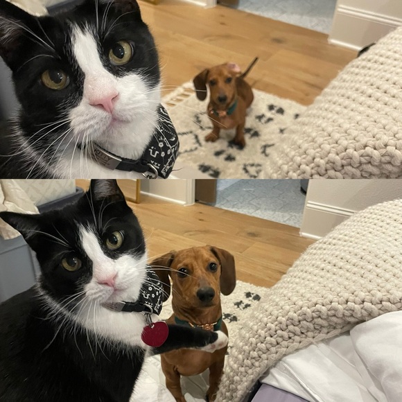 Meet your Posher, Kristin - Picture 6 of 11